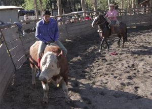 Domaduras - Rancho San Luis de Pelequén
